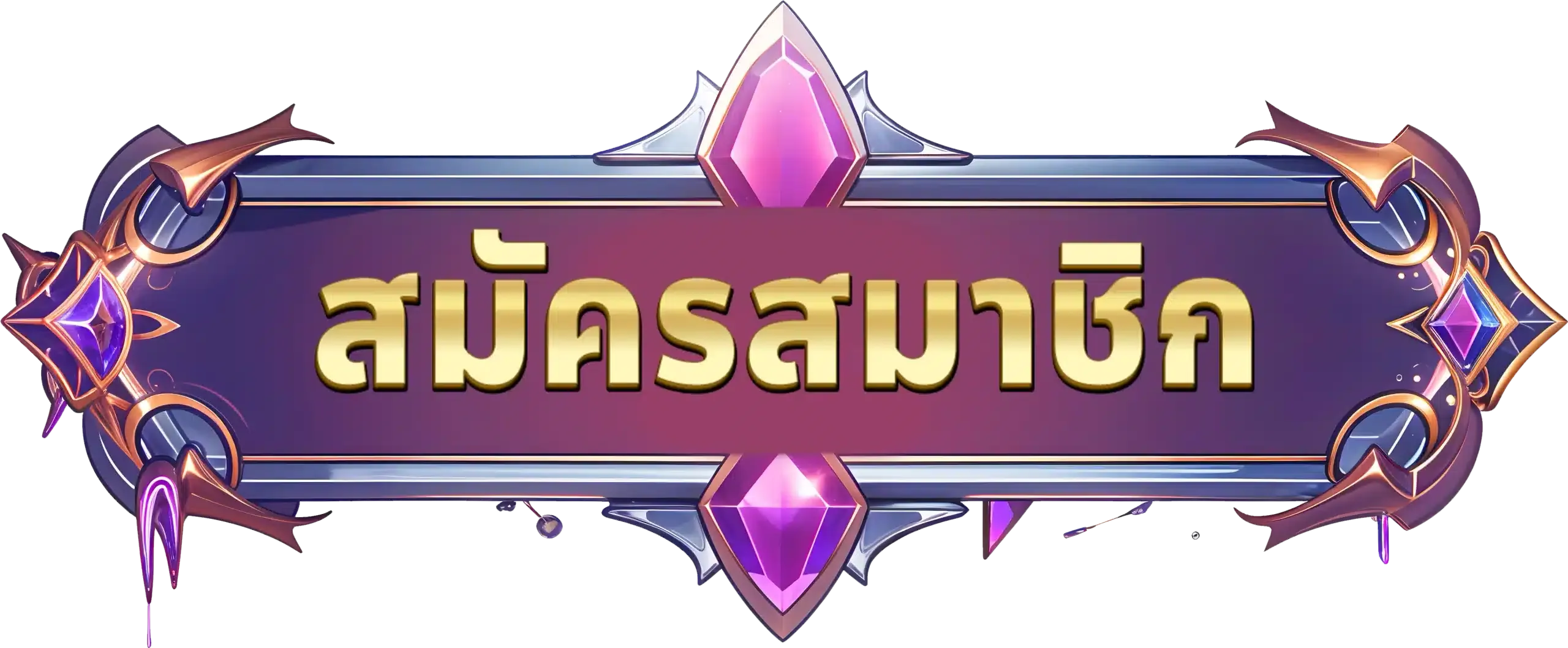 ปุ่มสมัคร